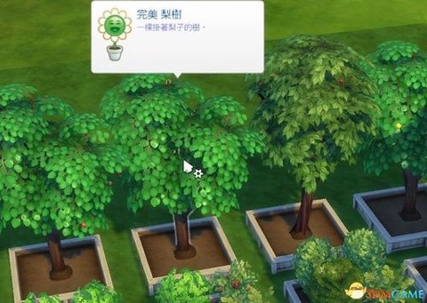 模拟人生4怎么种植物
