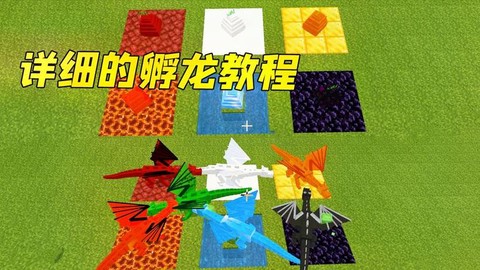 手机版我的世界龙蛋怎么孵化[图1]