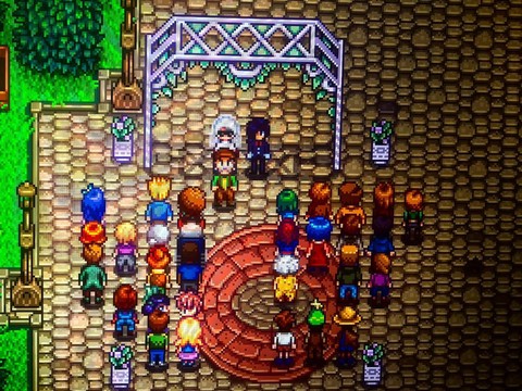 星露谷物语怎么接吻[图1]