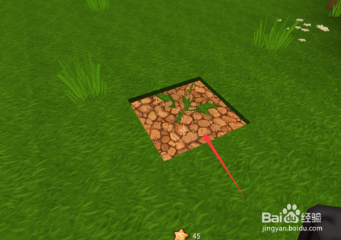 迷你世界怎么种植西瓜[图2]