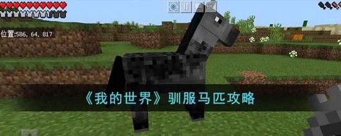 我的世界怎么刷极品马[图2]