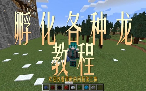 我的世界怎么浮华龙蛋