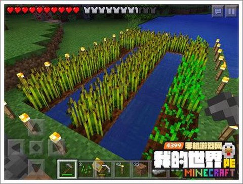 我的世界里怎么种菜