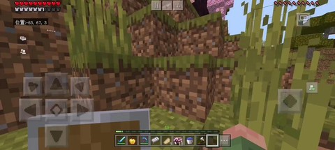 我的世界里怎么种菜[图1]