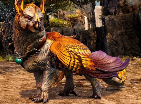 激战2狮鹫坐骑怎么获得