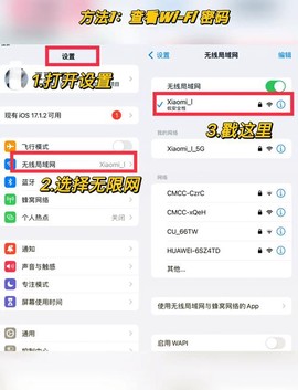 口袋妖怪怎么wifi联机[图2]