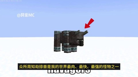 我的世界怎么做飞毯[图2]